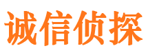 和龙市侦探公司